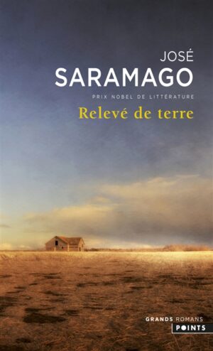 Relevé de terre (en poche)
